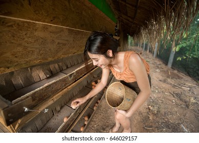 Girl Collecting Eggs