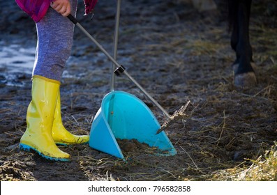 Girl collecting horse excrement in shovel at stableyard