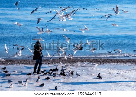 Girl covers her face from a flock of hungry gulls on a winter beach                               
