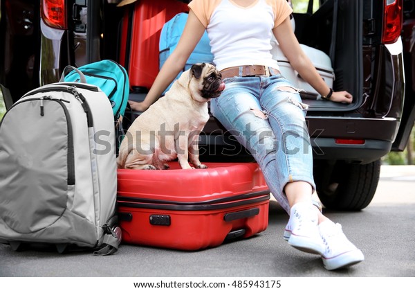 Girl with cute pug and luggage in car trunk.\
Travel concept