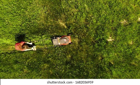 Girl Cutting Grass In His Yard With Electric Lawn Mower Aerial View.