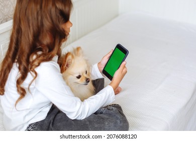 The Girl And Dog Behind The Phone Looks At The Green Screen.