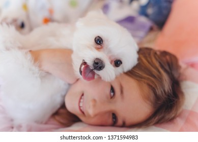 Girl and dog . happy pet. Maltese balonka stuck her tongue out.