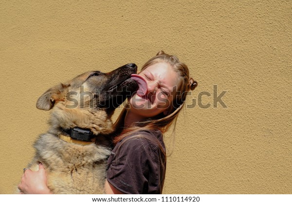 犬を連れた女の子 犬が顔をなめる の写真素材 今すぐ編集