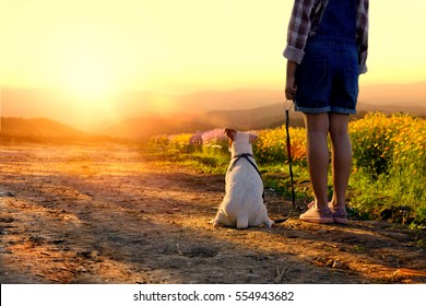 Girl With Dog Looking Sun Set In Flower Field.