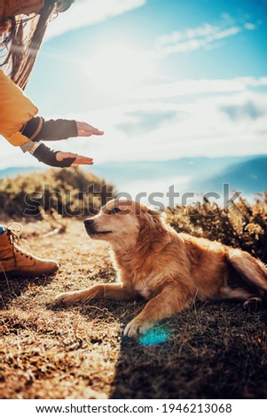 Girl with a dog play in the mountains. Autumn mood. Traveling with a pet.Woman and her dog posing outdoor.