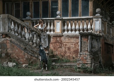 A Girl And A Dog Are Standing On The Porch Of An Abandoned House. Beautiful Girl. Abandoned Manor. Black And White Dog. Colorful Sunny Day.