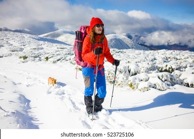 girl with dog walking on the trail in the mountains, winter in the mountains. - Shutterstock ID 523725106