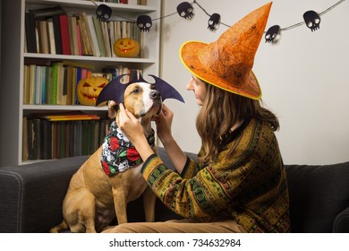 Girl Dressing Up Her Dog In Halloween Bat Costume. Young Woman With Pet Indoors Making Up Party Costumes For A Home Party