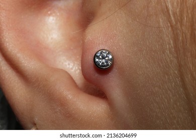 Girl ear piercing. Macro.
				Tragus piercing + titanium labret with cubic zirconia.