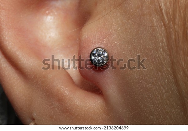 Girl ear piercing. Macro.\
Tragus piercing +\
titanium labret with cubic\
zirconia.
