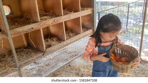 Girl farmer collecting  fresh eggs in basket at wooden henhouse  - Powered by Shutterstock