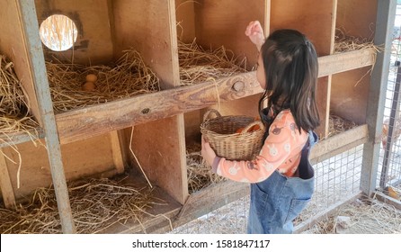 Girl farmer collecting  fresh eggs in basket at wooden henhouse  - Powered by Shutterstock