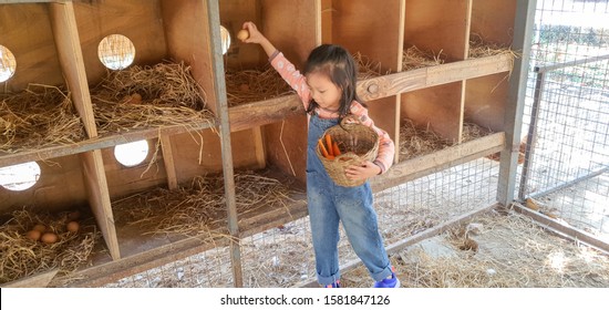 Girl farmer collecting  fresh eggs in basket at wooden henhouse  - Powered by Shutterstock