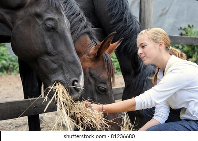 girl feeding horses in the farm in summer day - Powered by Shutterstock