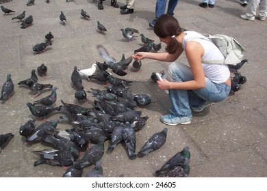 A girl feeding pigeons in the Venice's San Marko square