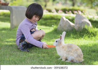 girl  is feeding the rabbit