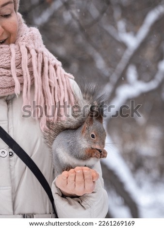 Girl feeds a squirrel with nuts at winter. Squirrel eats nuts from the girls hand. Caring for animals in winter or autumn.