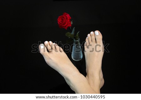 Girl feet of ideal beauty with Mortons toe, soft cared skin and toes with white nail polish, red rose in glass vase, bright, crossed feet, isolated on black background