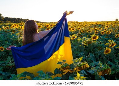 Girl With The Flag Of Ukraine In A Field Among Sunflowers.