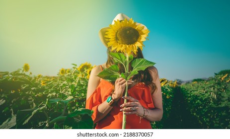 Girl In A Flowers Field Hiding Face Behind A Sunflower