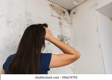 girl found mold in the corner of your bathroom , in your residential building after renovation - Shutterstock ID 596674793