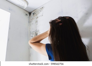 girl found mold in the corner of your bathroom , in your residential building after renovation