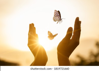The girl frees the butterfly from  moment Concept of freedom - Shutterstock ID 1819721660