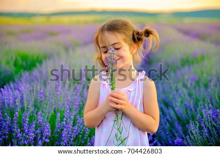 Girl with funny braids collects bouquet in lavender field, holding and smell the lavender flowers