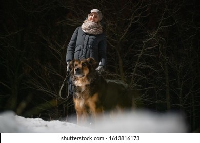 Girl With A German Shepherd Walking On A Winter Night In The Park. Photo On The Background Of A Dark Forest.