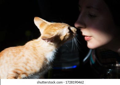 Girl And Ginger Cat Rub Their Noses