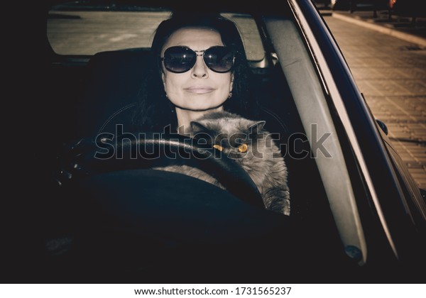 A girl with glasses with a cat in her arms is\
driving a car.