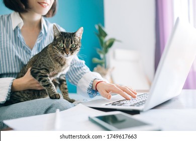 
Girl in glasses works at home behind a laptop on the couch. Cute cat walks around the house on a blue background.