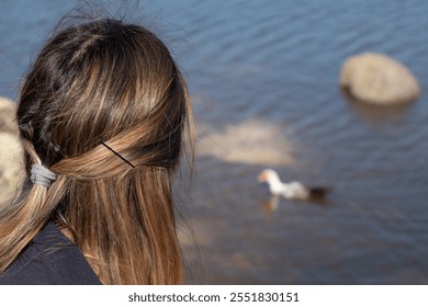 girl with golden hair in a ponytail and a bobby pin looking at a white bird with an orange beak swimming in a lake with rocks - Powered by Shutterstock