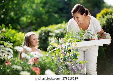 Girl And Granny Planting Herbs In Garden