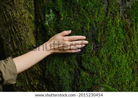 Girl hand touches a tree with moss in the wild forest. Forest ecology. Wild nature, wild life. Earth Day. Traveler girl in a beautiful green forest. Conservation, ecology, environment concept