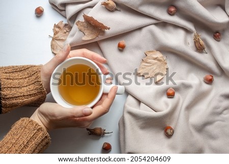 girl hands with tea cup with cotton flowers, eucaliptus, dry leaves, reeds. autumn mood, fall vibes