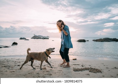 Girl Has Fun Playing With A Dog On The Beach At Sunset. A Young European Woman Walks With A Domestic Dog On The Background Of The Sea And The Setting Sun.