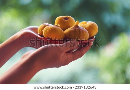                                The girl has a yellow fig in her hand