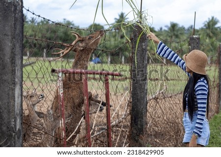 girl in a hat feeding deer on a farm