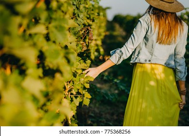 Girl with a hat and yellow dress  walking in autumn sunset playing with grapewines 