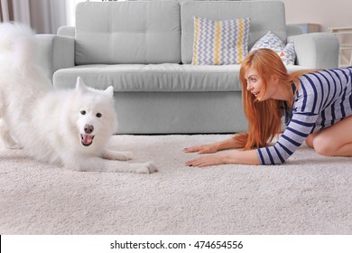 Girl Having Fun With Samoyed Dog At Home