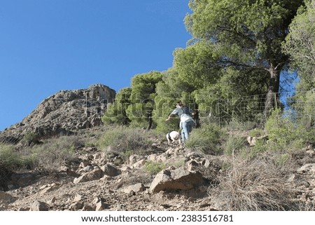 
girl with her dog climbing the mountain in the Sierra de Elvira Granada