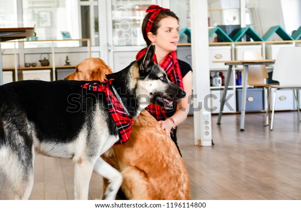 Animal And Girl Matching