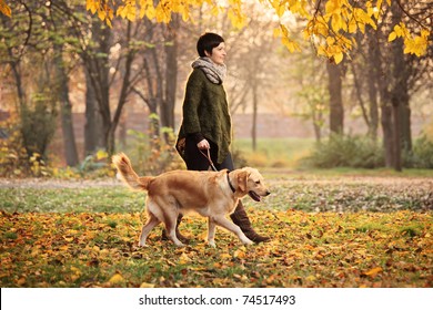 A girl and her dog (Labrador retriever) walking in a park in autumn - Powered by Shutterstock