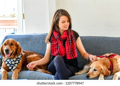  Girl And Her   Golden Retriever Dogs   At Home  With Matching Bandana. Matching Dog And Owner Outfit.