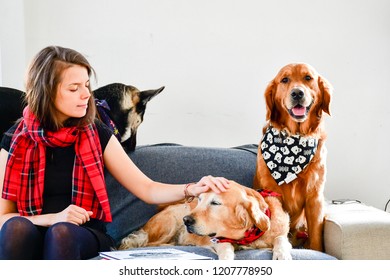  Girl And Her   Golden Retriever Dogs   At Home  With Matching Bandana. Matching Dog And Owner Outfit.