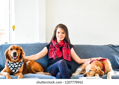  Girl And Her   Golden Retriever Dogs   At Home  With Matching Bandana. Matching Dog And Owner Outfit.