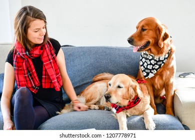  Girl And Her   Golden Retriever Dogs   At Home  With Matching Bandana. Matching Dog And Owner Outfit.