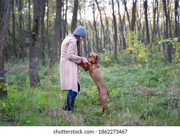 A girl and her Hungarian Vizsla (Magyar Vizsla) dog in the forest. The dog is standing on his rear feets and looking to the camera. 